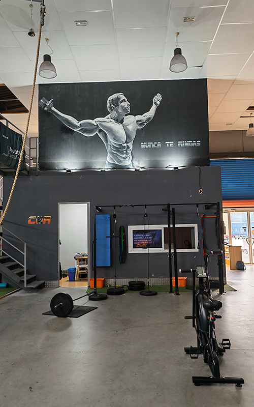 Entrenamiento personalizado instalaciones-gimnasio-4