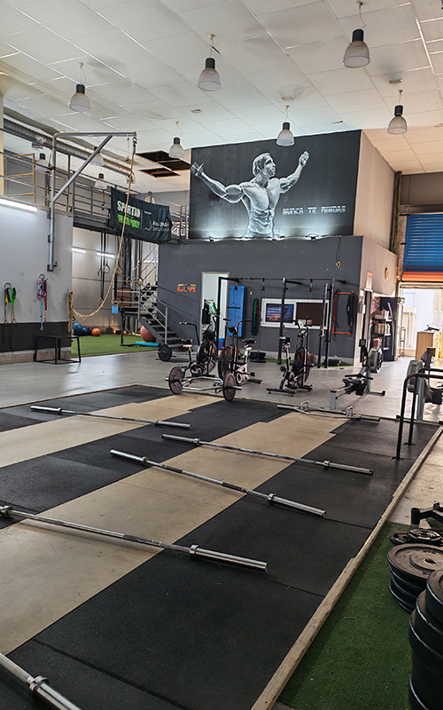 Entrenamiento personalizado instalaciones-gimnasio-6